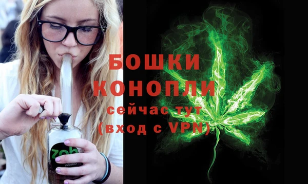 сатива Нея