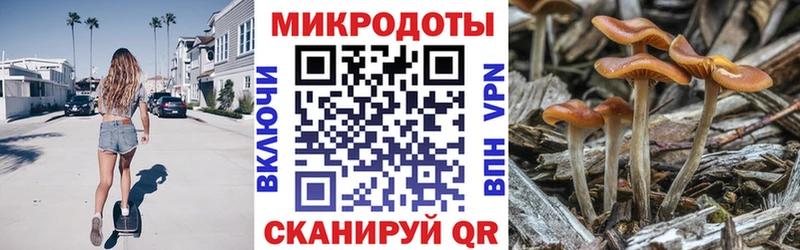 Псилоцибиновые грибы Cubensis  продажа наркотиков  MEGA   Петухово 